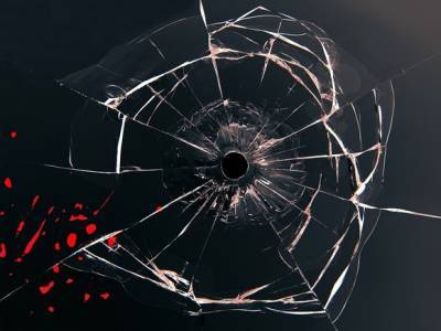 В Петербурге мужчина из окна обстрелял прохожих и детей