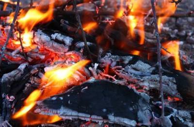 МЧС бьёт тревогу! В регионе с начала года в огне погибли 43 ульяновца