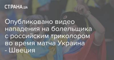 Опубликовано видео нападения на болельщика с российским триколором во время матча Украина - Швеция