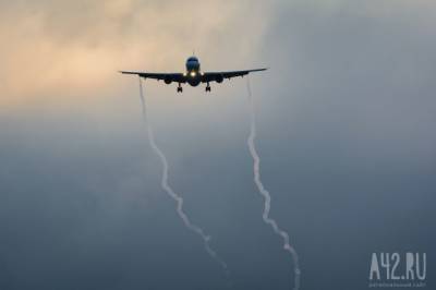 СМИ: авиакомпании могут отменить половину рейсов на Кубань из-за ограничений по COVID-19