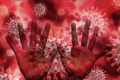 В Чувашии второй день подряд фиксируют 6 смертей от коронавируса