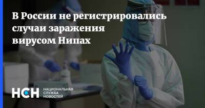 В России не регистрировались случаи заражения вирусом Нипах