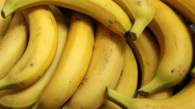 Владимир Путин объяснил, почему картошка стоит дороже бананов