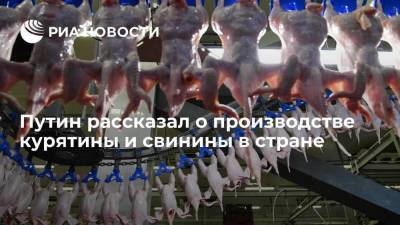 Путин заявил, что проблемы по производству курятины и свинины закрыты