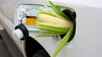 Рада приняла за основу законопроект об обязательном использовании не менее 5% биотоплива в автобензине с 1 мая 2022г