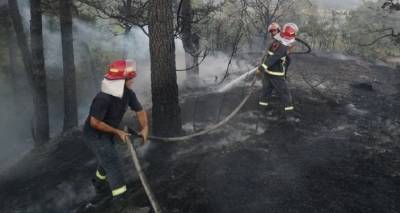 В Национальном заповеднике на востоке Грузии борются с огнем