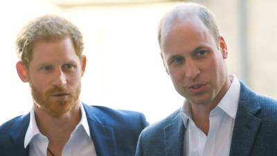 Принцы Уильям и Гарри впервые после ссоры проведут частную встречу