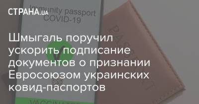 Шмыгаль поручил ускорить подписание документов о признании Евросоюзом украинских ковид-паспортов