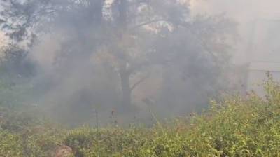 Сильный пожар в Хайфе: огонь подбирается к жилым домам