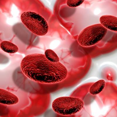 COVID-19 вносит стойкие изменения в клетки крови