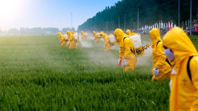 Рада упростила ввоз пестицидов и агрохимикатов