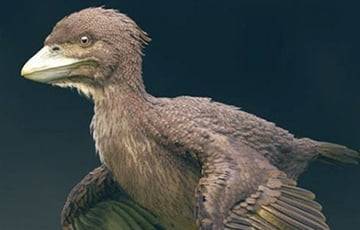 Исследователи нашли птицу с головой динозавра