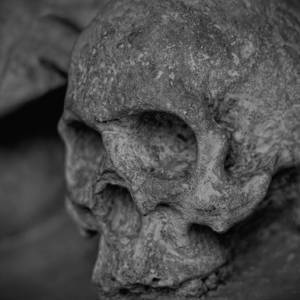 Во время раскопок в Латвии нашли древний штамм чумы