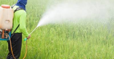 Рада разрешила ввоз в Украину пестицидов, не зарегистрированных в стране производства