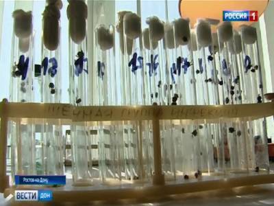 В Ростовской области около четырех тысяч человек обратились в больницы после укусов клещей