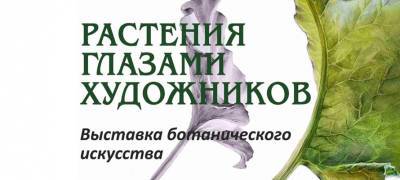Жителям и гостям Петрозаводска покажут «Растения глазами художников»