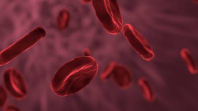 COVID-19 вызывает долгосрочные изменения в крови пациентов