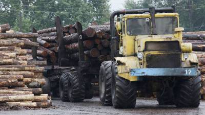 Мэр Краснотурьинска предложил дрова пенсионерке, пожаловавшейся на отсутствие в доме газа