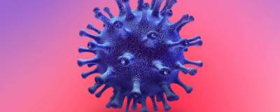 В Оренбургской области выявлены еще 212 заразившихся коронавирусом