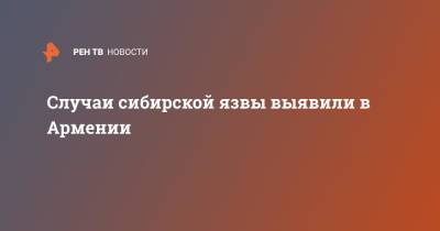 Случаи сибирской язвы выявили в Армении