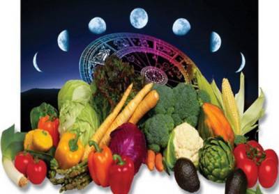 Самый подробный лунный посевной календарь на июль 2021 года с фазами луны по дням в июле для садовода и огородника