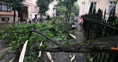 У Львові чергова сильна гроза зі шквальним вітром наробила шкоди