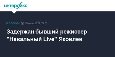 Задержан бывший режиссер "Навальный Live" Яковлев