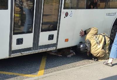 В Петербурге женщина упала под автобус и выжила