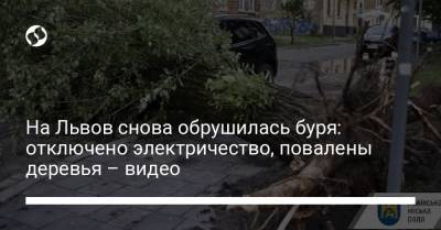 На Львов снова обрушилась буря: отключено электричество, повалены деревья – видео