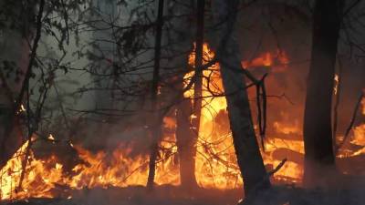В Якутии борются с лесными пожарами — видео