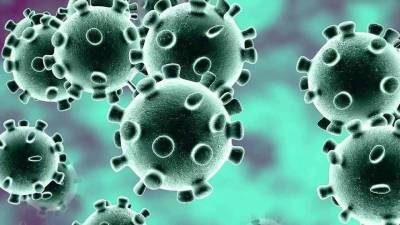 Какой коронавирус обнаружен в России летом 2021 года и насколько он опасен
