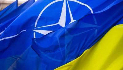 Сколько украинцев считает НАТО союзником Украины, выяснили социологи - lenta.ua - Россия - Украина