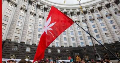 На Украине голосуют за легализацию марихуаны в медицинских целях