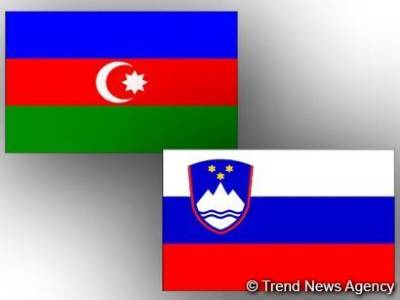 Состоялись политические консультации между МИД Азербайджана и Словении