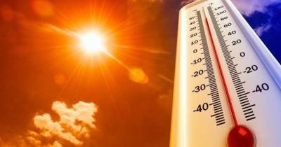 В Канаде жертвами аномальной жары стали свыше 130 человек