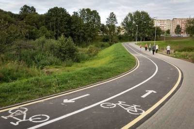 Кефер про велосипедные дорожки: Нужно будет расширить проезжую часть, вырубить деревья