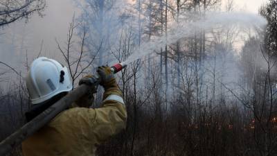 В России за сутки потушили 62 лесных пожара
