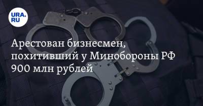 Арестован бизнесмен, похитивший у Минобороны РФ 900 млн рублей