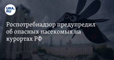 Роспотребнадзор предупредил об опасных насекомых на курортах РФ