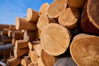 Из Бурятии экспортировали более 100 тысяч кубов лесоматериалов