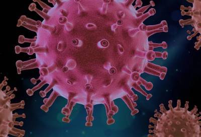 Биолог описала природу индийского штамма коронавируса