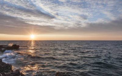 Ученые разгадали тайну бескислородных «зон смерти» в северной части Тихого океана