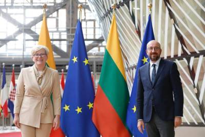 Глава Евросовета и премьер Литвы приветствовали «быстрый прогресс на пути полного введения санкций против белорусского режима»