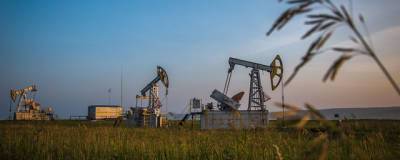 Нефтегазовые компании потеряли лидерство по объему дивидендов
