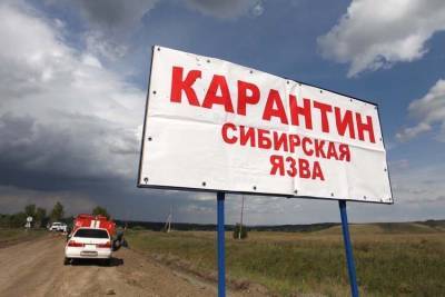 В Туве закрыли на карантин село из-за сибирской язвы у жителя