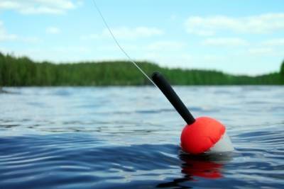 На Рыбинском водохранилище разрешили ловить рыбу