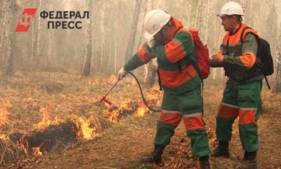 В Вагайском районе рядом с селами снова горит лес