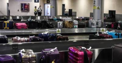 В правительстве не одобрили идею ограничить выдачу багажа в аэропортах одним часом