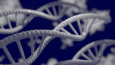 Генетики завершили создание первой полной последовательности пар человеческого генома