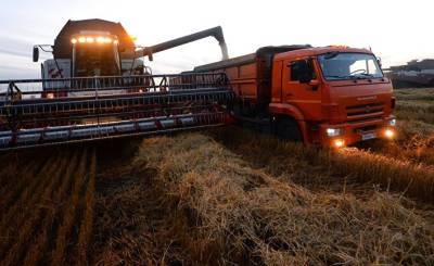 La Nación (Аргентина): в России вступают в действие «плавающие пошлины» на экспорт пшеницы